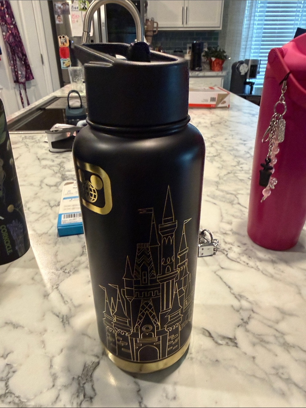 Disney Black and Gold Castle Insulated Water Bottle